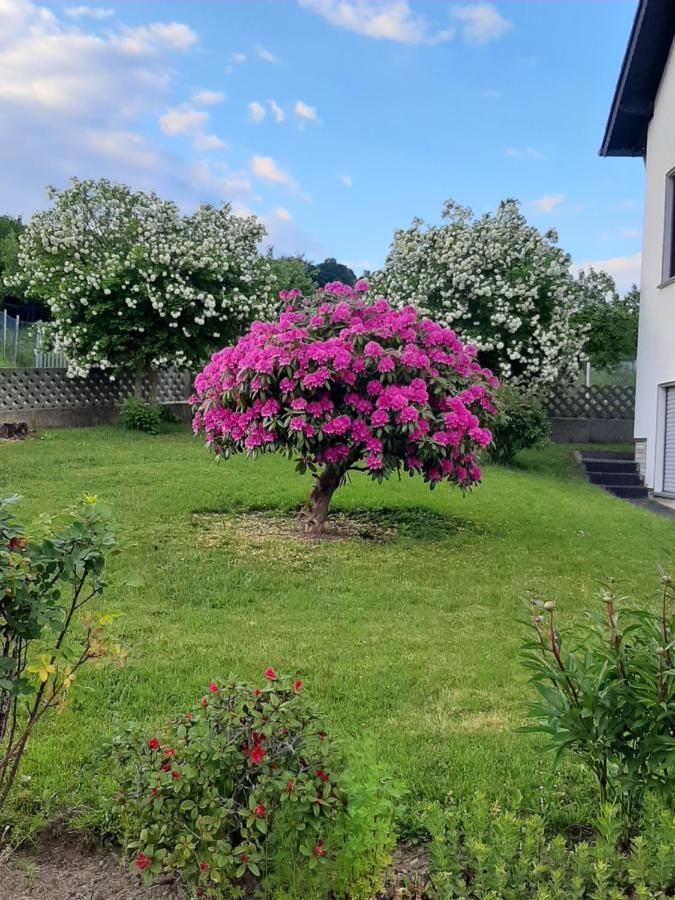 Ferienwohnung Fuelbier Oberzissen エクステリア 写真