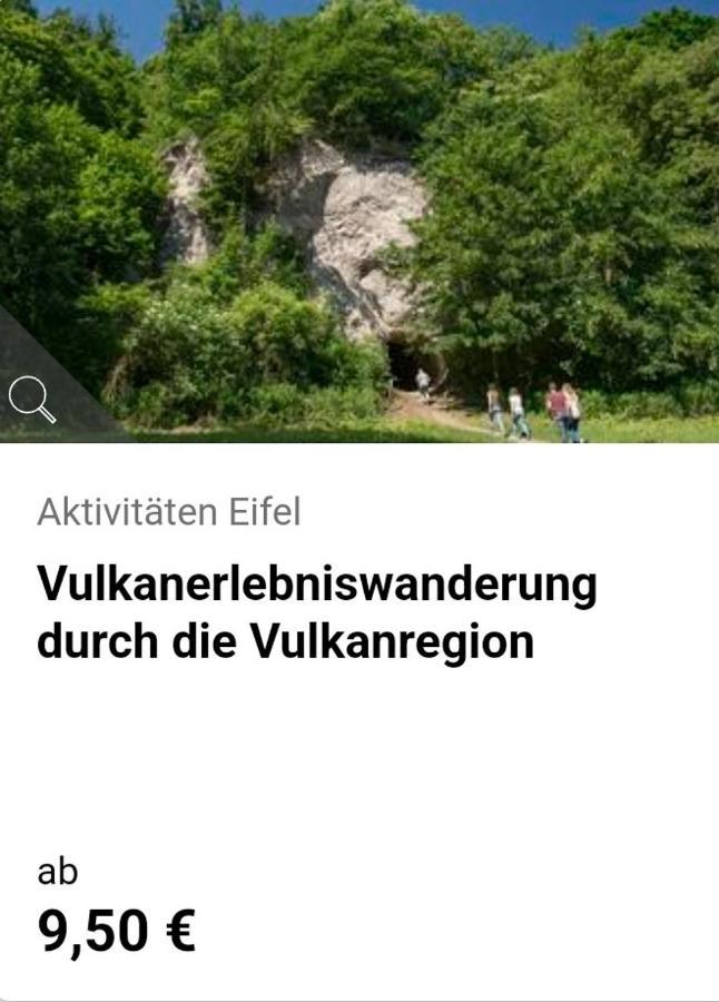 Ferienwohnung Fuelbier Oberzissen エクステリア 写真