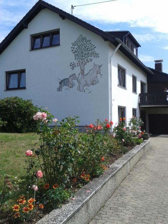Ferienwohnung Fuelbier Oberzissen エクステリア 写真